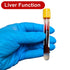 Gloved hand holding a blood test tube