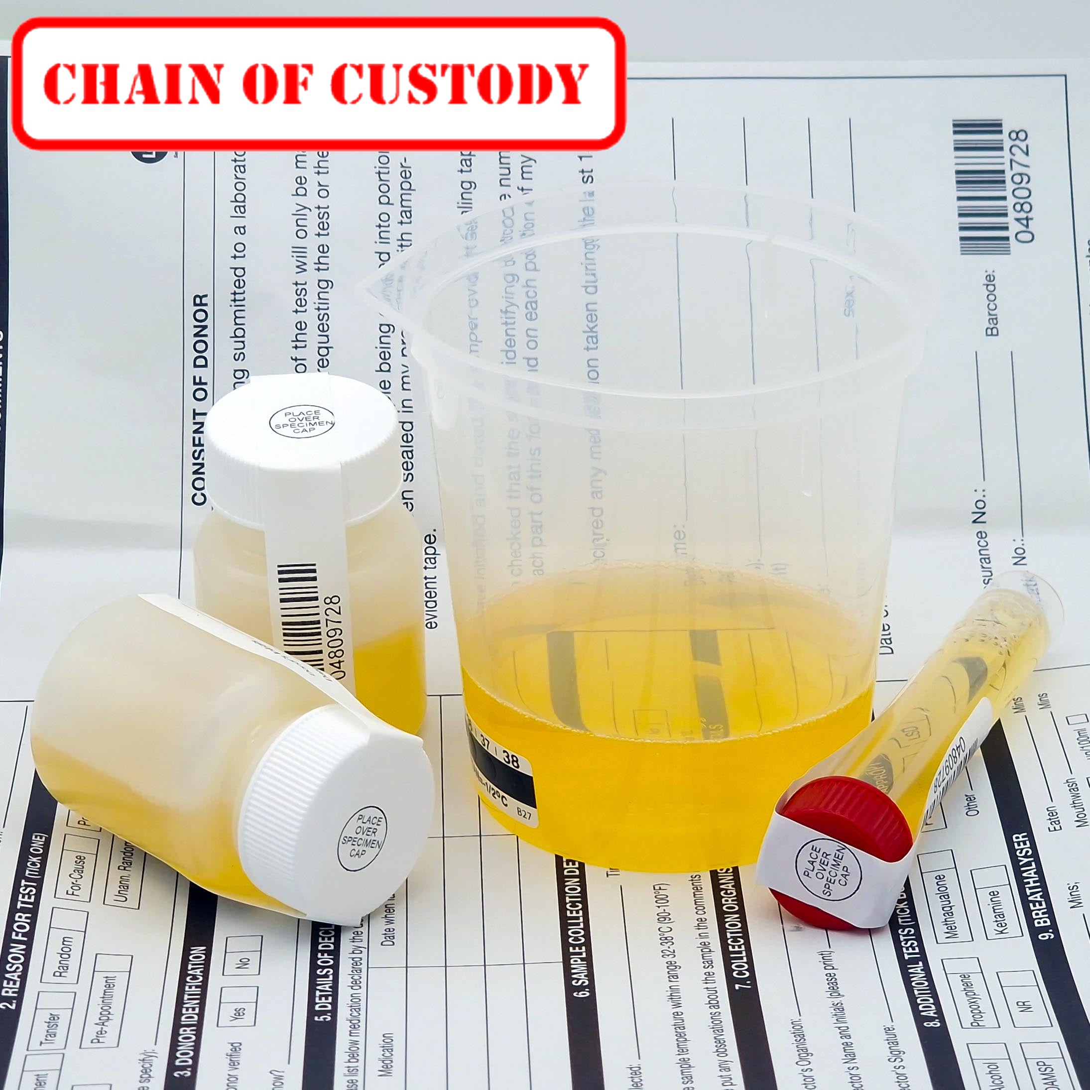 Urine Drug Test WITH Chain of Custody
