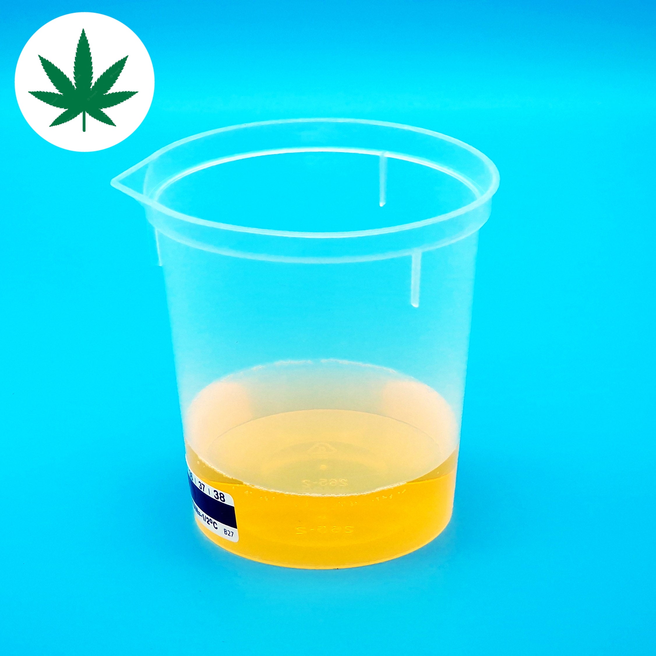 Cannabis Test (Urine)